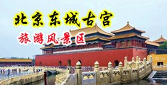 免费看黄色，真人与母狗性交中国北京-东城古宫旅游风景区